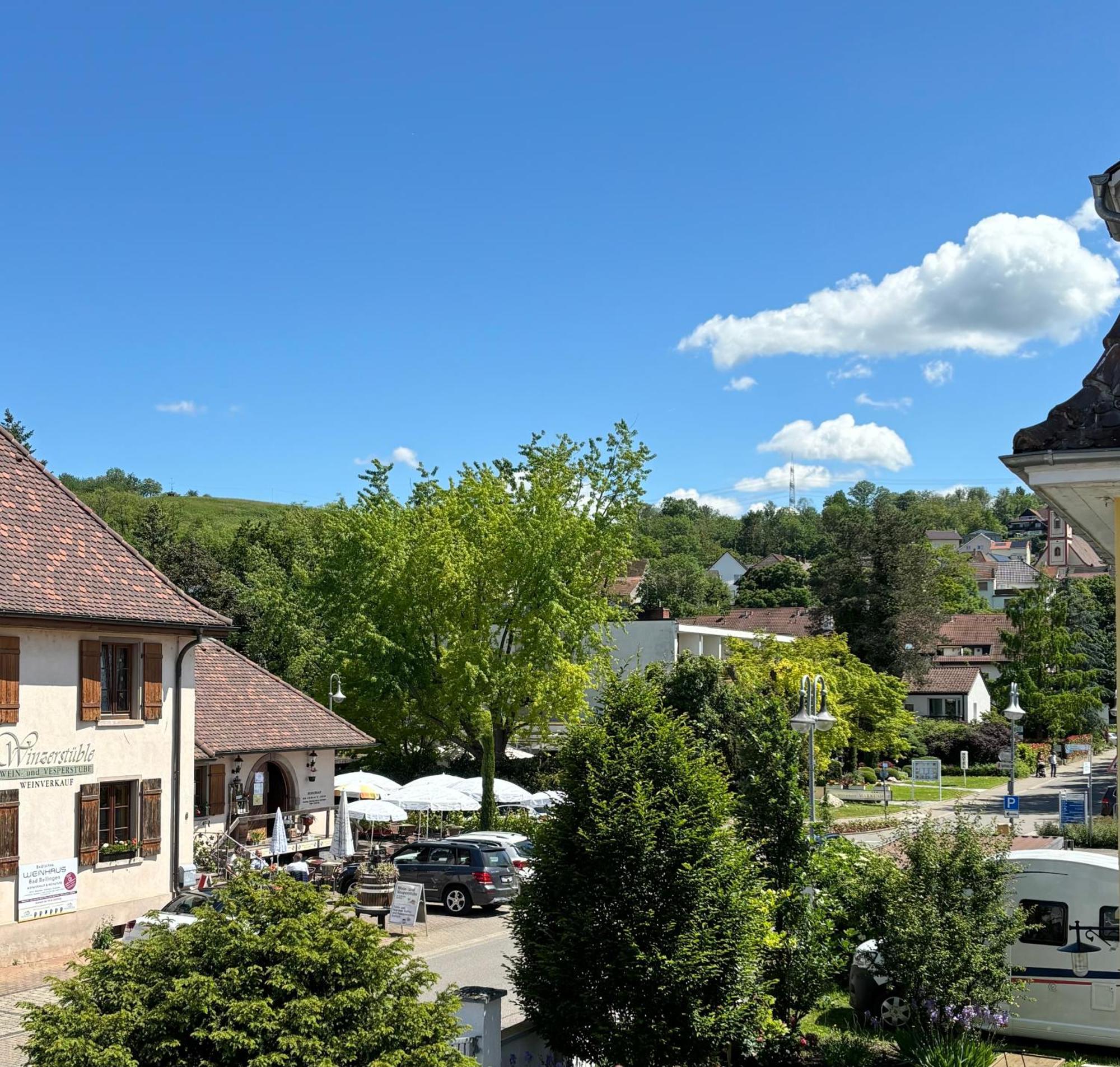 Gesamte Wohnung, Kueche, Parkplatz, Terrasse Bad Bellingen Kültér fotó