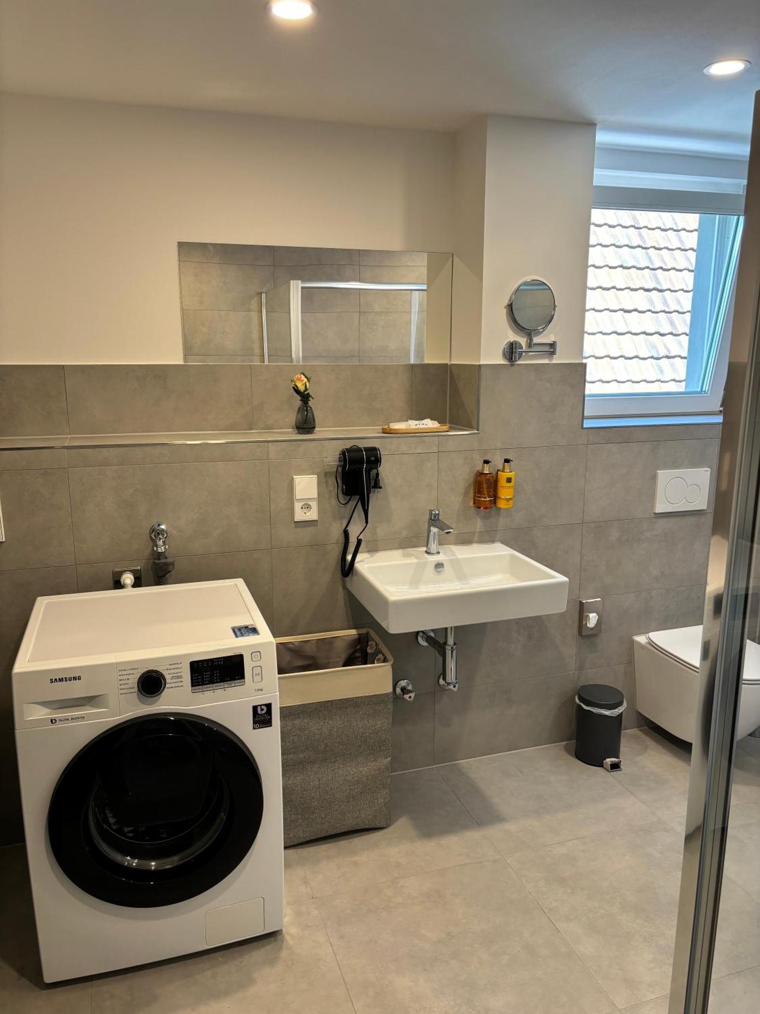 Gesamte Wohnung, Kueche, Parkplatz, Terrasse Bad Bellingen Kültér fotó