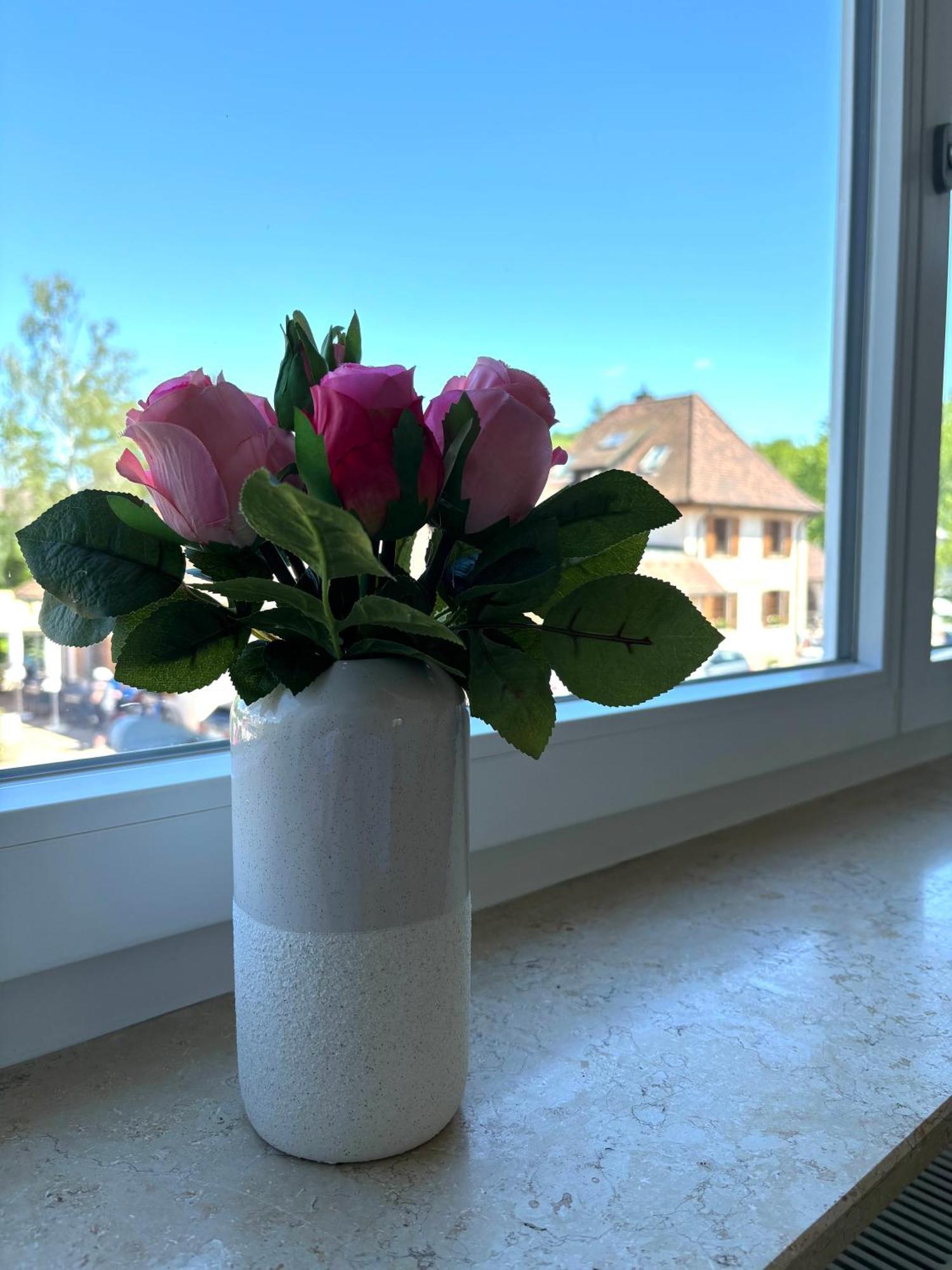 Gesamte Wohnung, Kueche, Parkplatz, Terrasse Bad Bellingen Kültér fotó