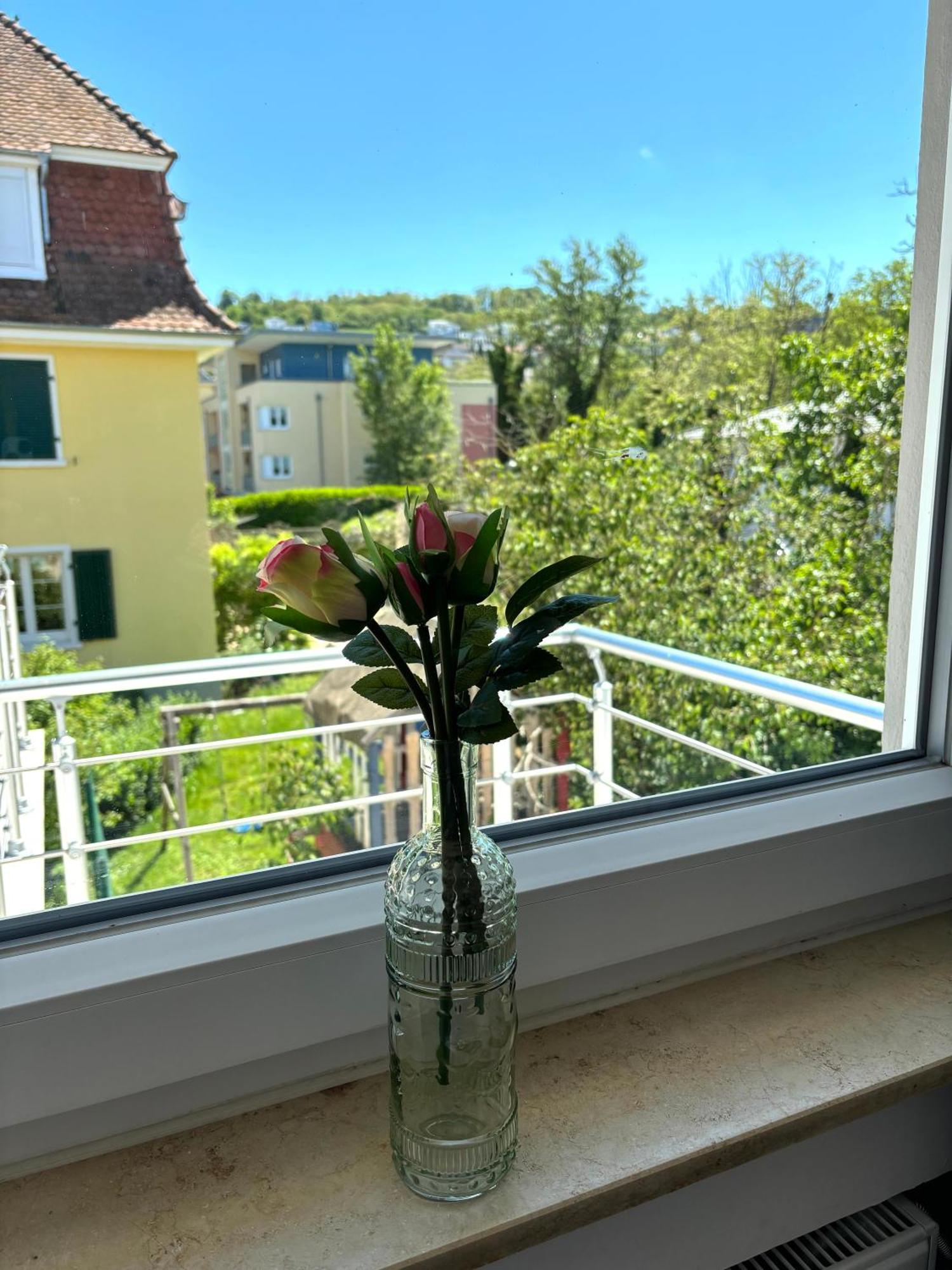 Gesamte Wohnung, Kueche, Parkplatz, Terrasse Bad Bellingen Kültér fotó