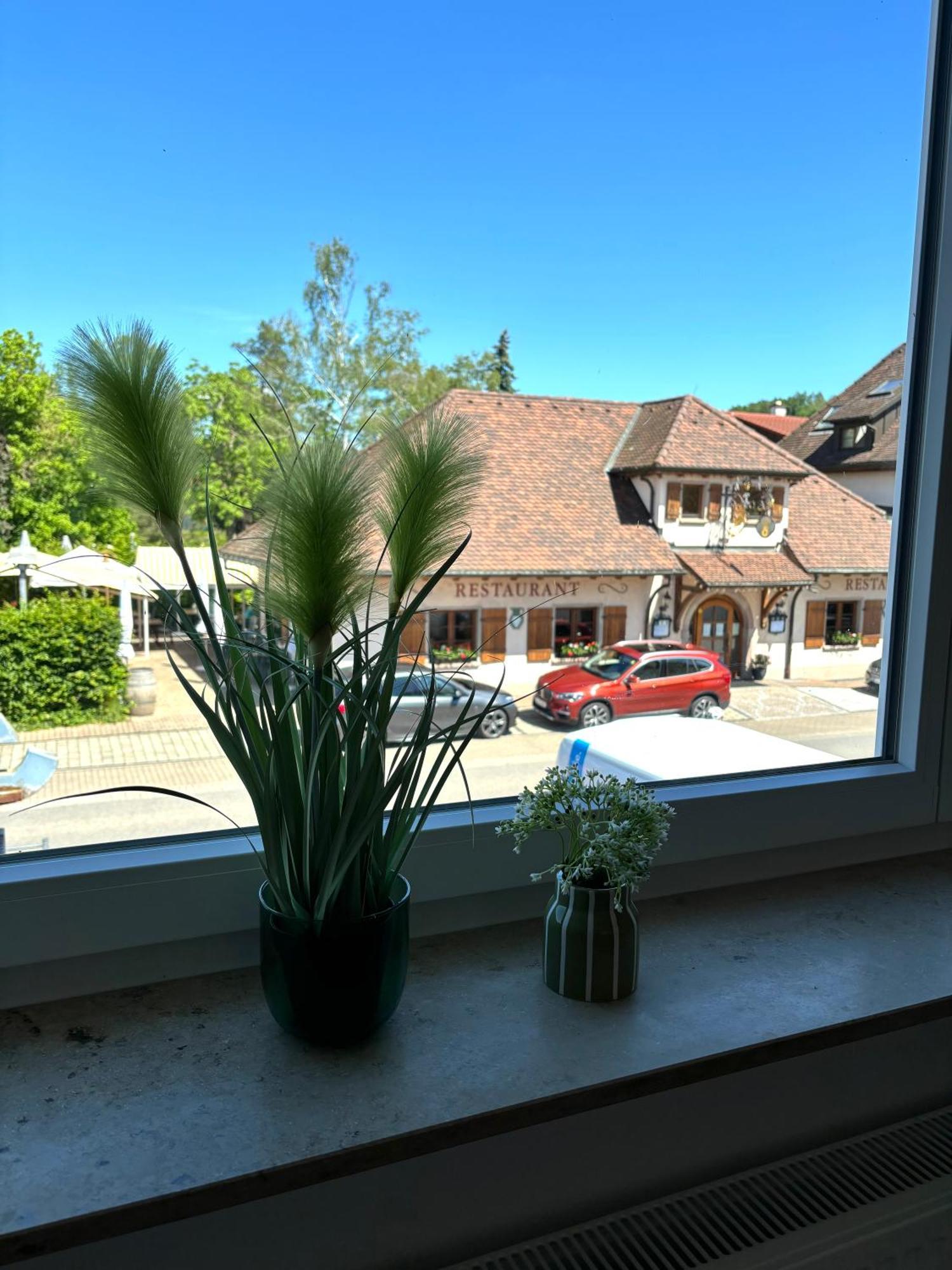 Gesamte Wohnung, Kueche, Parkplatz, Terrasse Bad Bellingen Kültér fotó
